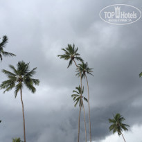 фото из отзыва ID 1310771