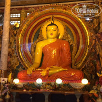 фото из отзыва ID 1310771