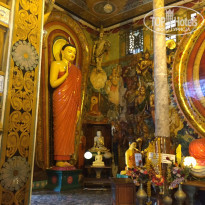 фото из отзыва ID 1310771