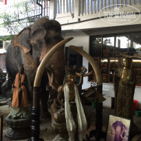 фото из отзыва ID 1310771