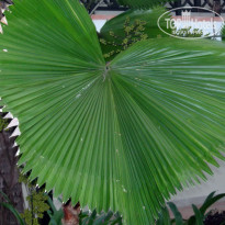 фото из отзыва ID 1318995
