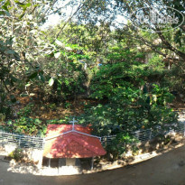 фото из отзыва ID 1323556