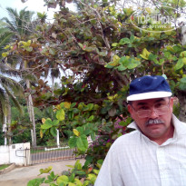 фото из отзыва ID 1324491