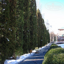 фото из отзыва ID 1325147