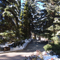 фото из отзыва ID 1325147