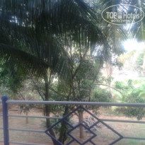 фото из отзыва ID 1327229