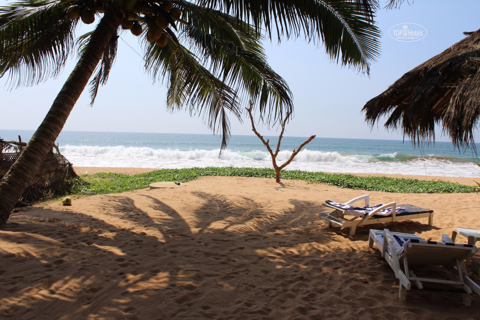 The beach шри ланка. Индурува Шри Ланка. Анакурува Бич Шри Ланка. Пляж Индурува. Коко Роял Бич Шри Ланка.