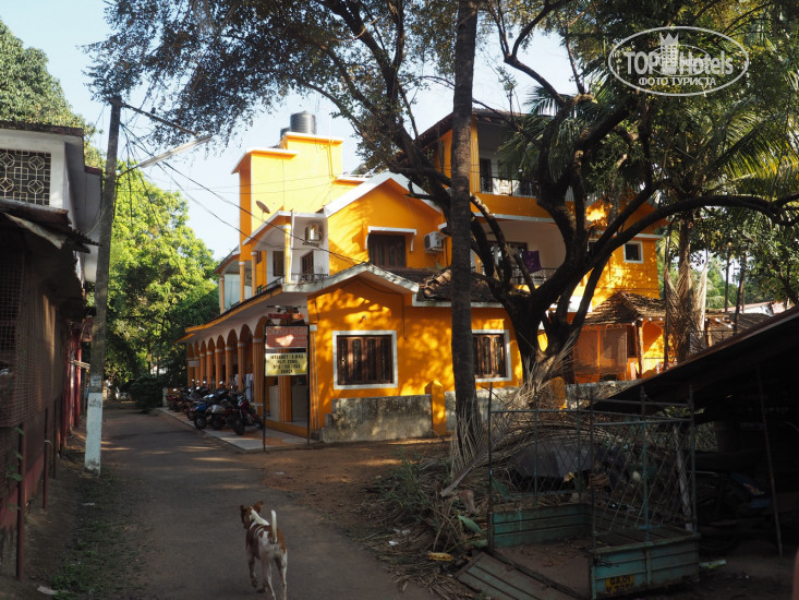 Фотографии отеля  The Orange House 