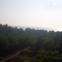 фото из отзыва ID 1328534