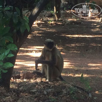 фото из отзыва ID 1328534