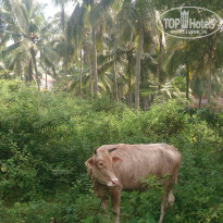 фото из отзыва ID 1328932