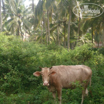 фото из отзыва ID 1328932