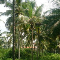 фото из отзыва ID 1328932