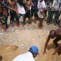 фото из отзыва ID 1328932