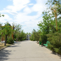 фото из отзыва ID 1329884