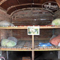 фото из отзыва ID 1329884