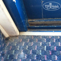 фото из отзыва ID 1332556