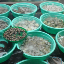 фото из отзыва ID 1332772