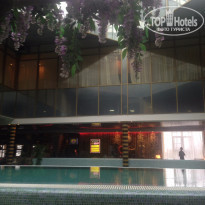 фото из отзыва ID 1332955