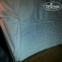 фото из отзыва ID 1332955