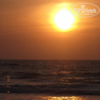 фото из отзыва ID 1335402