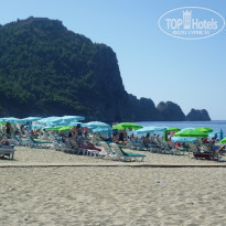 фото из отзыва ID 1335729