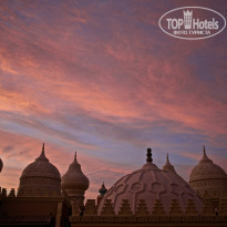 фото из отзыва ID 1336069