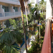 фото из отзыва ID 1336072