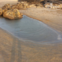 фото из отзыва ID 1339859