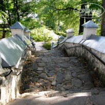 фото из отзыва ID 1332398