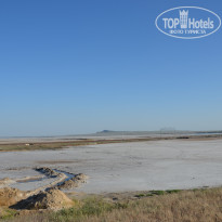 фото из отзыва ID 1331079