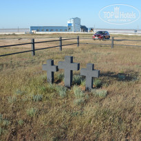 фото из отзыва ID 1331079