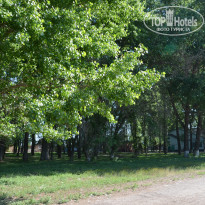 фото из отзыва ID 1331079