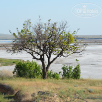 фото из отзыва ID 1331079