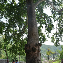 фото из отзыва ID 1332580