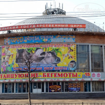 фото из отзыва ID 1331673