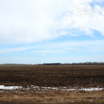 фото из отзыва ID 1333108