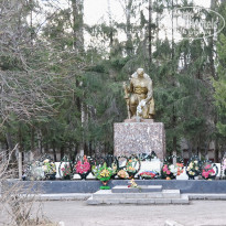 фото из отзыва ID 1333108