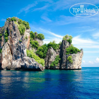 фото из отзыва ID 1342141