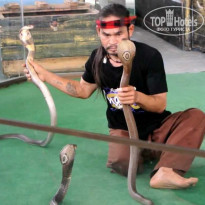 фото из отзыва ID 1342141