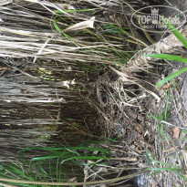 фото из отзыва ID 1343359