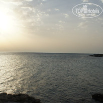 фото из отзыва ID 1347071