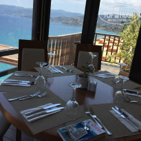 фото из отзыва ID 1347917