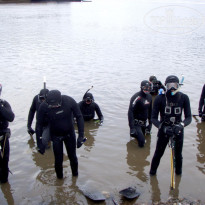 фото из отзыва ID 1348030