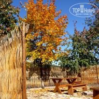 фото из отзыва ID 1348030