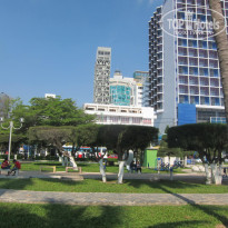 фото из отзыва ID 1348560