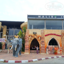 фото из отзыва ID 1350894