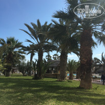 фото из отзыва ID 1351242