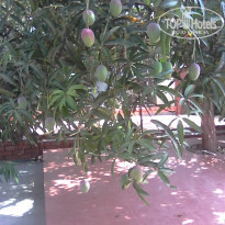 фото из отзыва ID 1354386