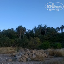 фото из отзыва ID 1358031